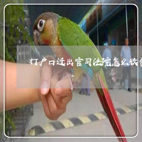 打户口迁出官司法院怎么收费