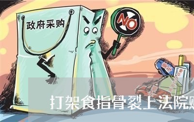 打架食指骨裂上法院赔多少钱