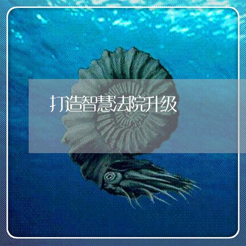 打造智慧法院升级