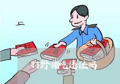 打野猪吃违法吗