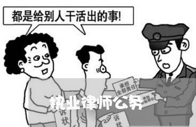 执业律师公务