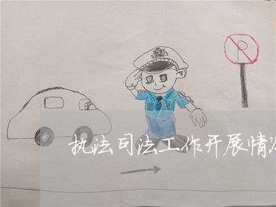执法司法工作开展情况 执法司法工作开展情况