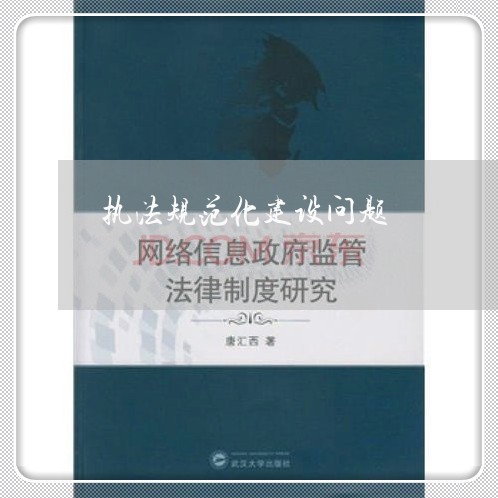 执法规范化建设问题 执法规范化建设问题