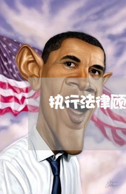 执行法律顾问主要工作内容/2023061831513 执行法律顾问主要工作内容/2023061831513