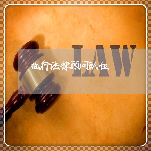 执行法律顾问队伍 执行法律顾问队伍
