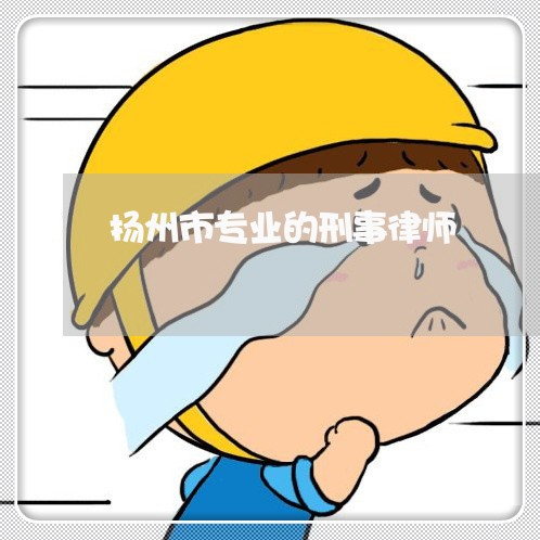 扬州市专业的刑事律师
