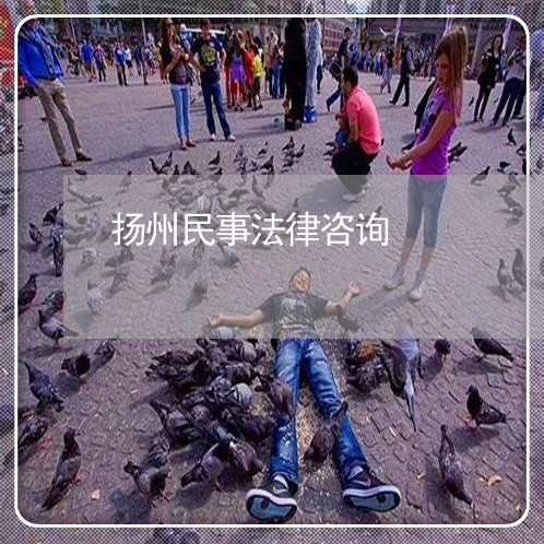 扬州民事法律咨询