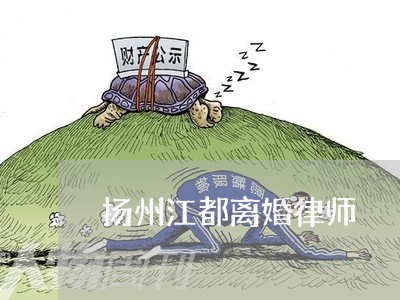 扬州江都离婚律师