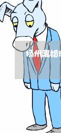 扬州离婚律师顾问哪个服务好