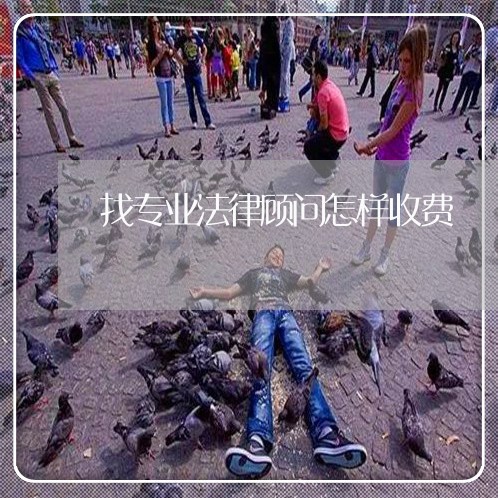 找专业法律顾问怎样收费/2023061826030