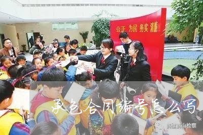承包合同编号怎么写/2023022703150