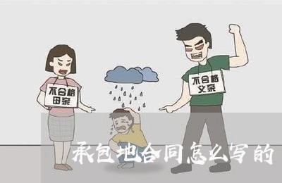 承包地合同怎么写的/2023022625159
