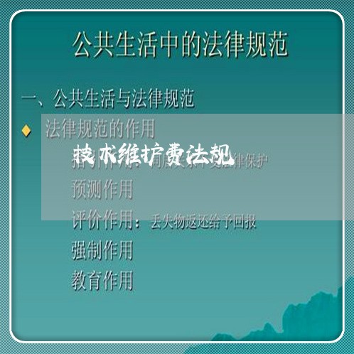 技术维护费法规 技术维护费法规