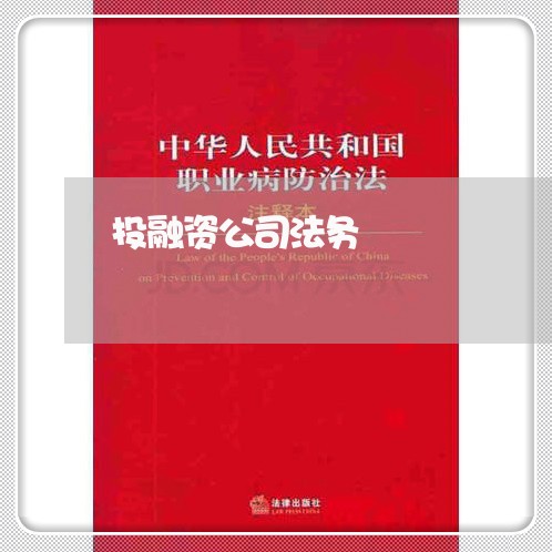 投融资公司法务 投融资公司法务