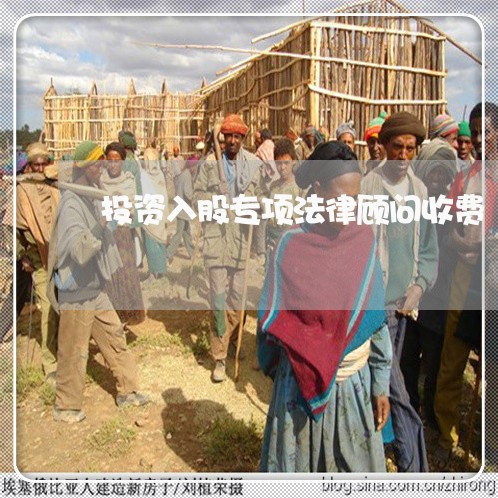 投资入股专项法律顾问收费 投资入股专项法律顾问收费