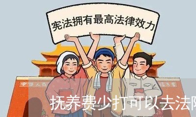 抚养费少打可以去法院起诉吗