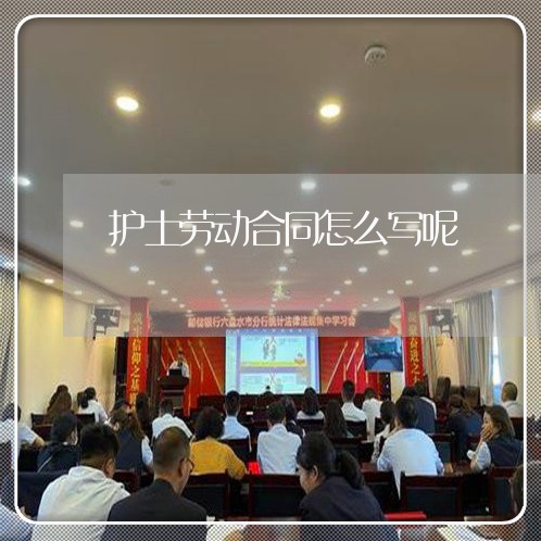 护士劳动合同怎么写呢/2023022661626