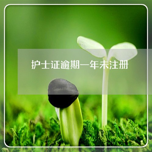 护士证逾期一年未注册