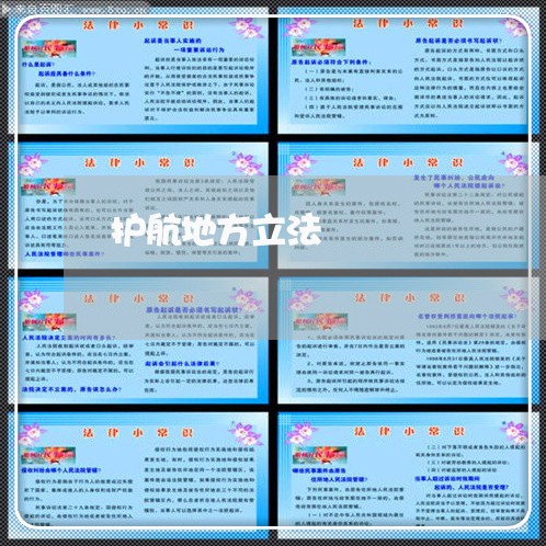 护航地方立法