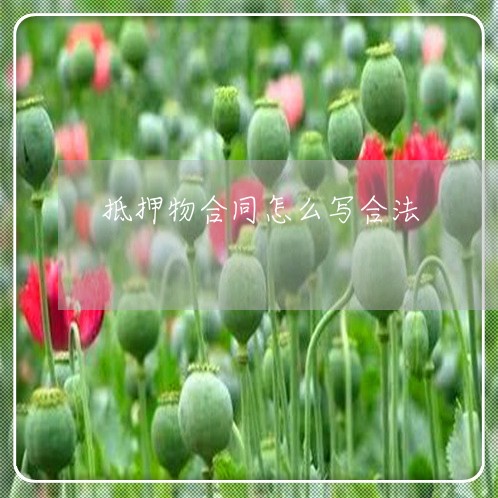 抵押物合同怎么写合法/2023041182715 抵押物合同怎么写合法/2023041182715