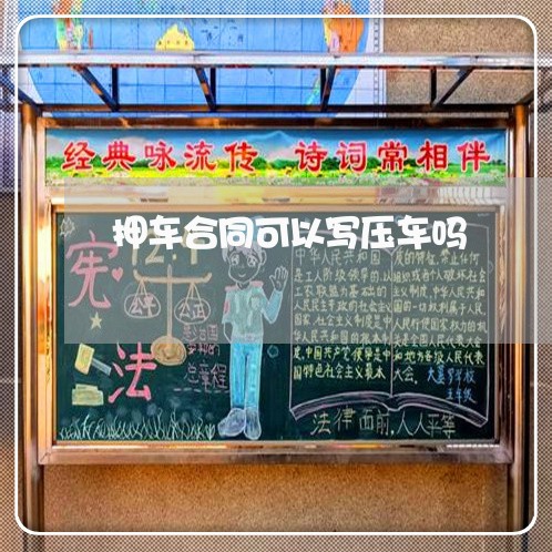 押车合同可以写压车吗/2023040393848 押车合同可以写压车吗/2023040393848