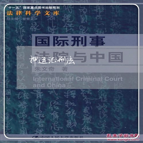 押运证刑法