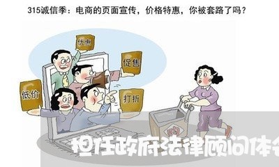 担任政府法律顾问体会