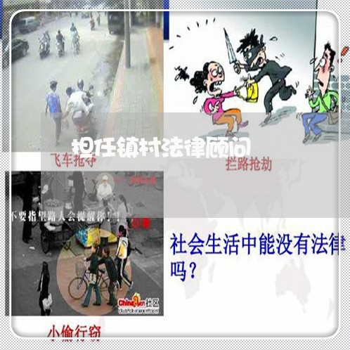 担任镇村法律顾问/2023061772683