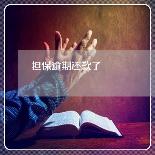 担保逾期还款了