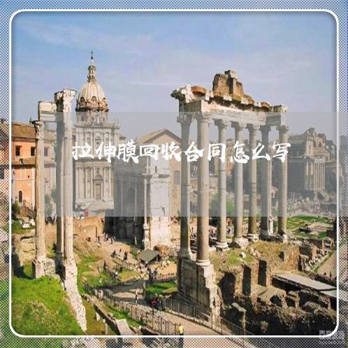 拉伸膜回收合同怎么写/2023022667361 拉伸膜回收合同怎么写/2023022667361