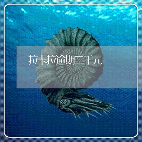 拉卡拉逾期二千元