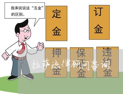 拉萨法律顾问咨询/2023061704837