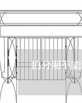 拍分期不能还款 拍分期不能还款