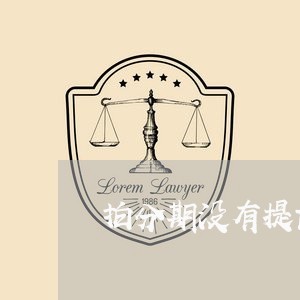 拍分期没有提前还款了