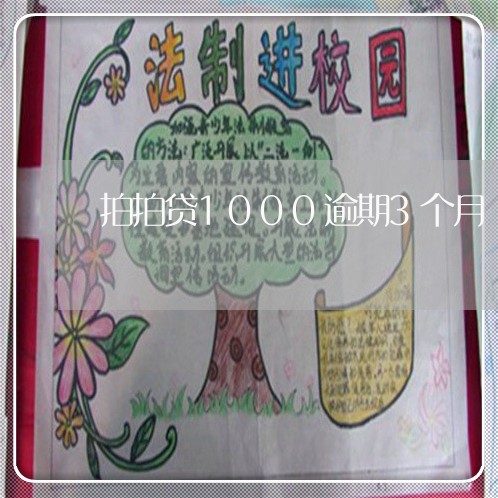 拍拍贷1000逾期3个月