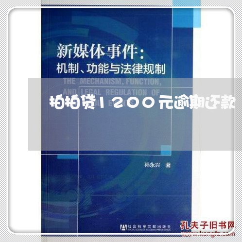 拍拍贷1200元逾期还款/2023042480614