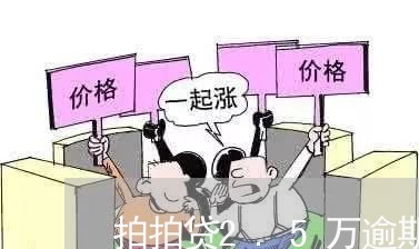拍拍贷2.5万逾期 拍拍贷2.5万逾期