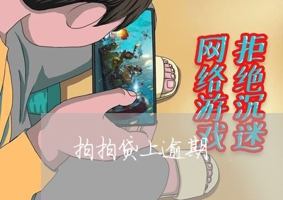 拍拍贷上逾期/2023021146074