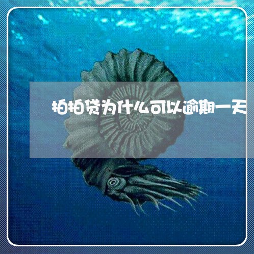 拍拍贷为什么可以逾期一天/2023061081503