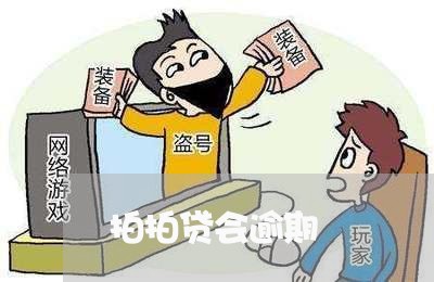 拍拍贷会逾期/2023013010474