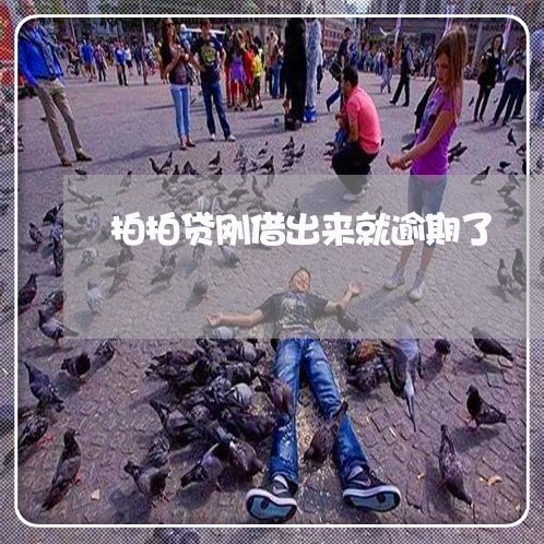 拍拍贷刚借出来就逾期了 拍拍贷刚借出来就逾期了