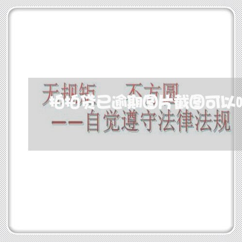 拍拍贷已逾期图片截图可以吗
