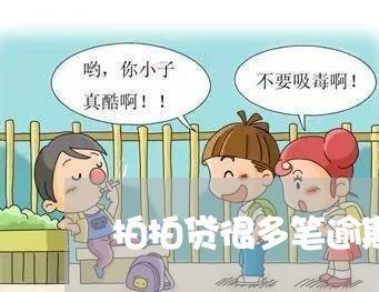 拍拍贷很多笔逾期/2023020181615