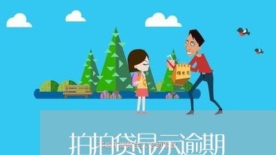 拍拍贷显示逾期/2023071427460