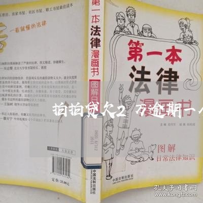 拍拍贷欠2万逾期一个月/2023061806048