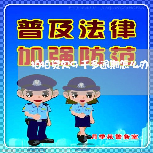 拍拍贷欠9千多逾期怎么办/2023060584815