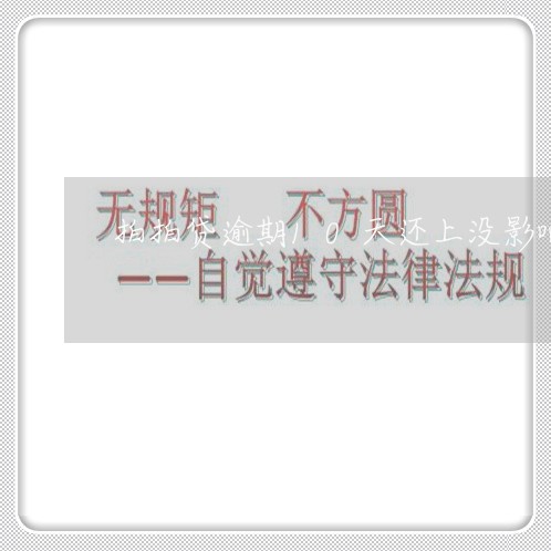 拍拍贷逾期10天还上没影响吧