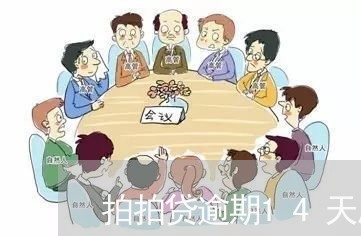 拍拍贷逾期14天后果