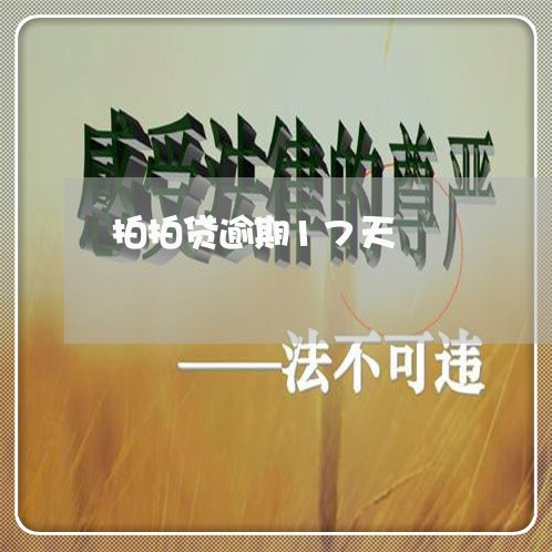 拍拍贷逾期17天/2023020124827