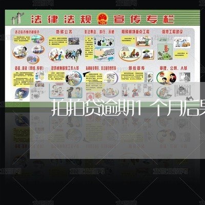 拍拍贷逾期1个月后果怎样 拍拍贷逾期1个月后果怎样